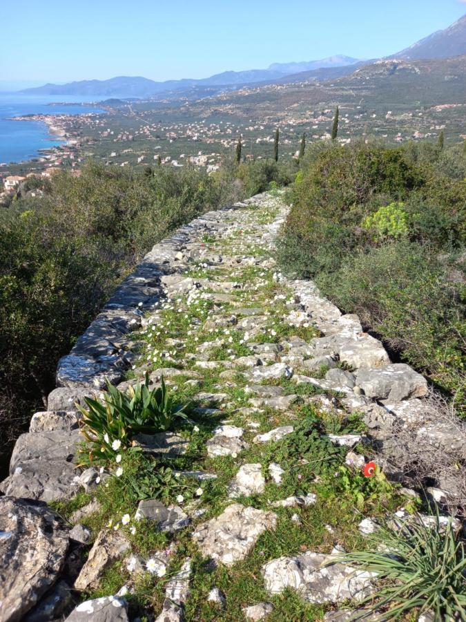 Сasa de vacaciones Pefnos