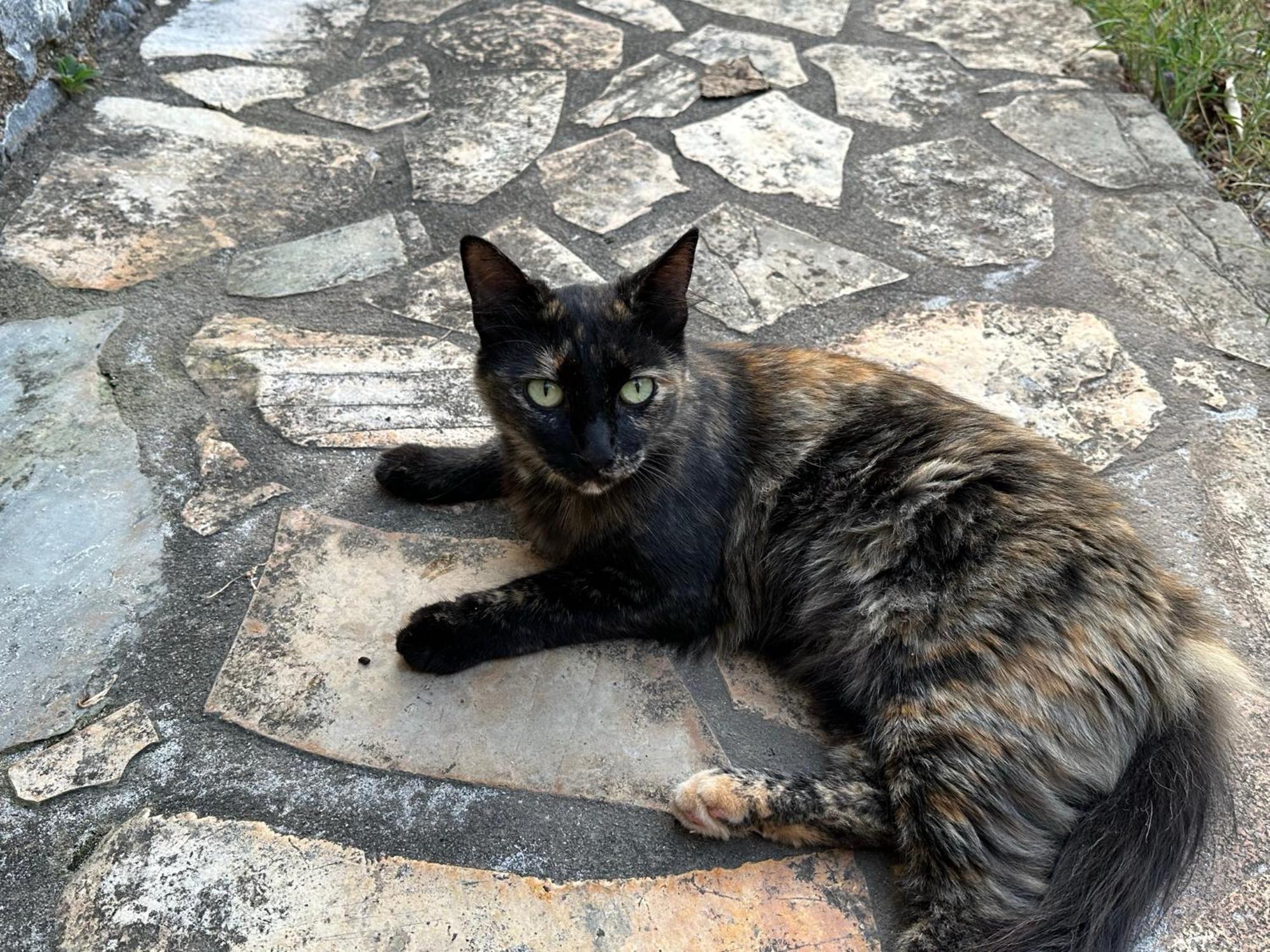 Pefnos Сasa de vacaciones *
